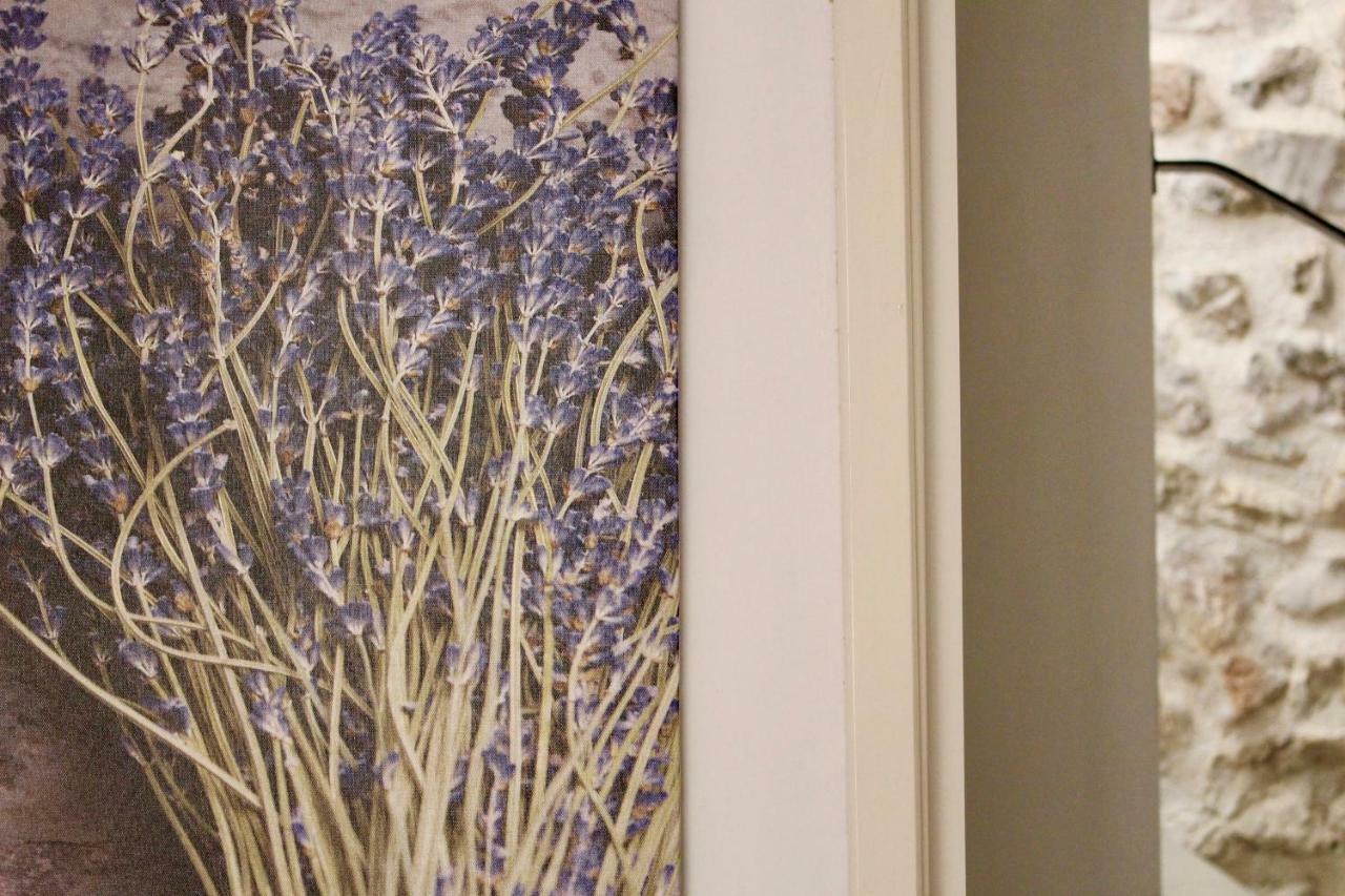 Lavanda Tribalj المظهر الخارجي الصورة